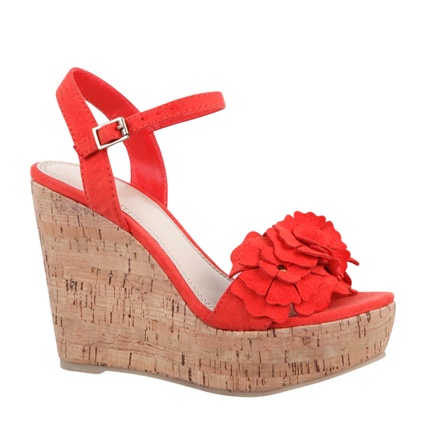 ����� ���� ���  :: �� ��� ���� payless :: + ���/� ������ ������