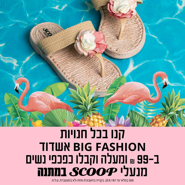 ����� ���� :: ���� ������ ������� BIG FASHION ����� :: + ���/� ������ ������