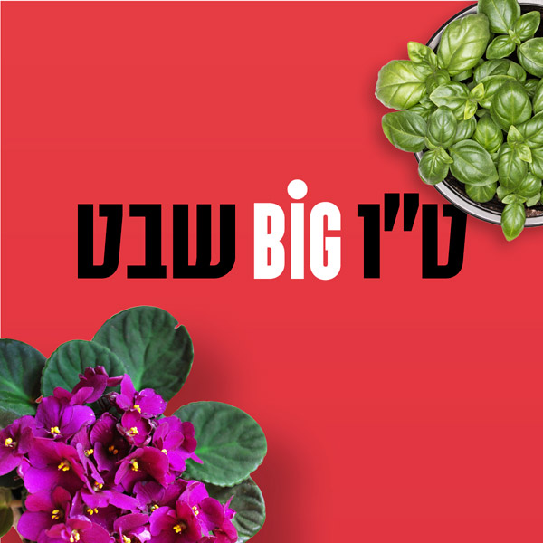 ����� ���� :: ����� BIG ������ ���� ����� ���� :: + ���/� ������ ������