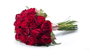 ����� ���� ��� �� ��� �� :: ZER4U ����� ����� ���� ������� :: + ���/� ������ ������