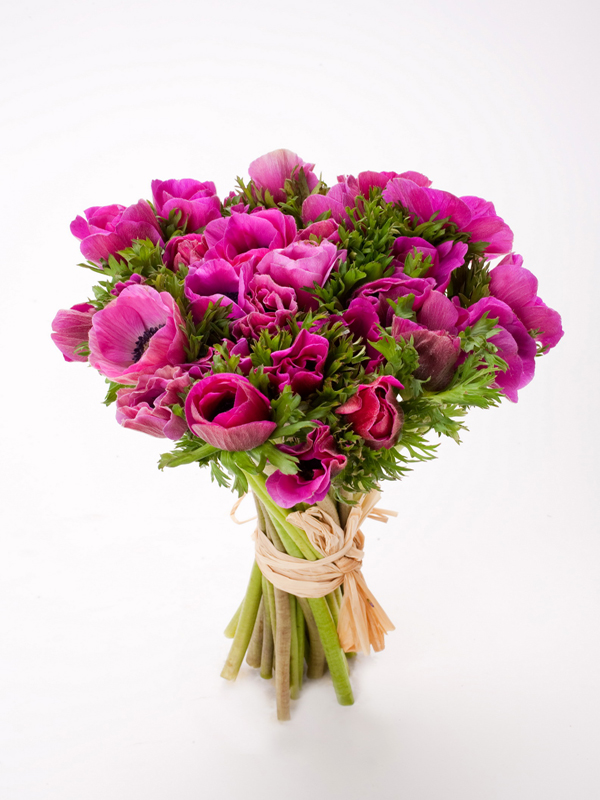 ����� ���� ��� �� ��� �� :: ������ ���� ���� ZER4U :: + ���/� ������ ������