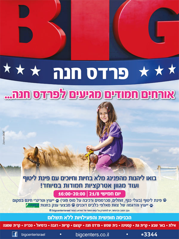 ����� - ����� | ������ ���� ���� ��� (BIG) :: ������ ������ ������ ����� ���